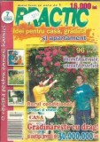 Revista Practic. Idei pentru casa, gradina si apartament, nr.7/2004