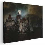 Tablou Castelul Bran Transilvania Romania 1722 Tablou canvas pe panza CU RAMA 80x120 cm