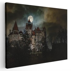Tablou Castelul Bran Transilvania Romania 1722 Tablou canvas pe panza CU RAMA 20x30 cm