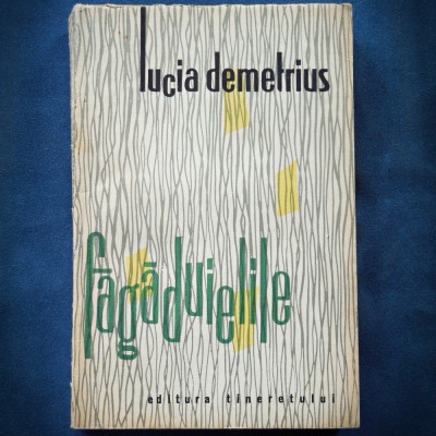 FAGADUIELILE - LUCIA DEMETRIUS foto
