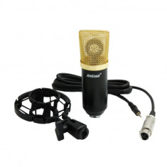 Microfon profesional pentru studio, karaoke, inregistrari