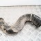 Furtun intercooler dreapta VW CRAFTER 30-50 Furgon 2E_ 2015 | 3018487