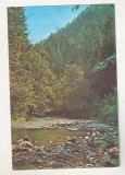 bnk cp Valea Slanicului la Slanic Moldova - Vedere - uzata