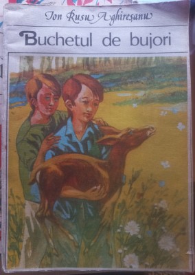 Buchetul de bujori foto