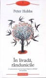 Carte "In Livada, Randunicile" Peter Hobbs - Roman 2012, Necartonata, Polirom, 188 pagini