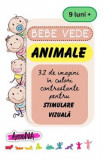 Animale. Bebe vede