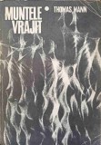 MUNTELE VRAJIT-THOMAS MANN-353011