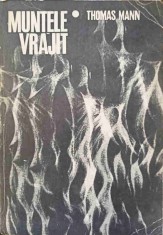 MUNTELE VRAJIT-THOMAS MANN-355595