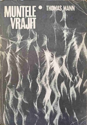 MUNTELE VRAJIT-THOMAS MANN-355595 foto