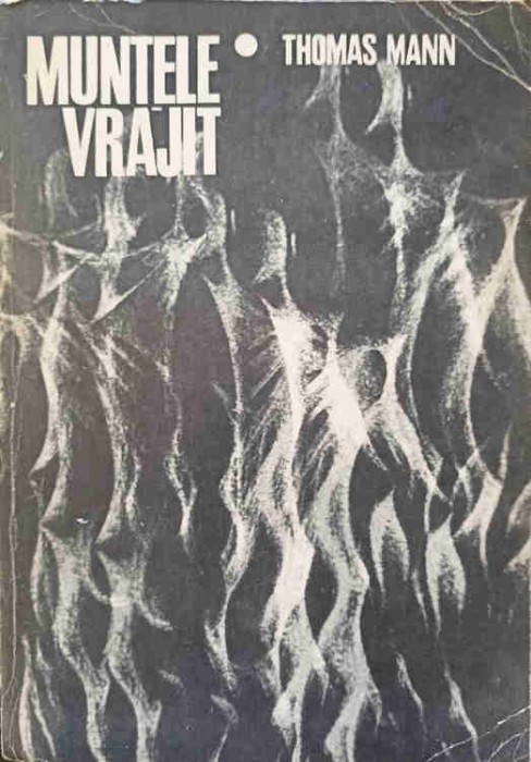 MUNTELE VRAJIT-THOMAS MANN-355595