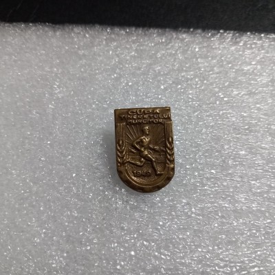 Insigna Cupa tineretului Muncitor 1949 foto