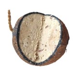 Hrană păsări sălbatice &icirc;n nucă de cocos, pentru toate anotimpurile