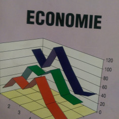 Economie G.Manea, I.Popescu 2005