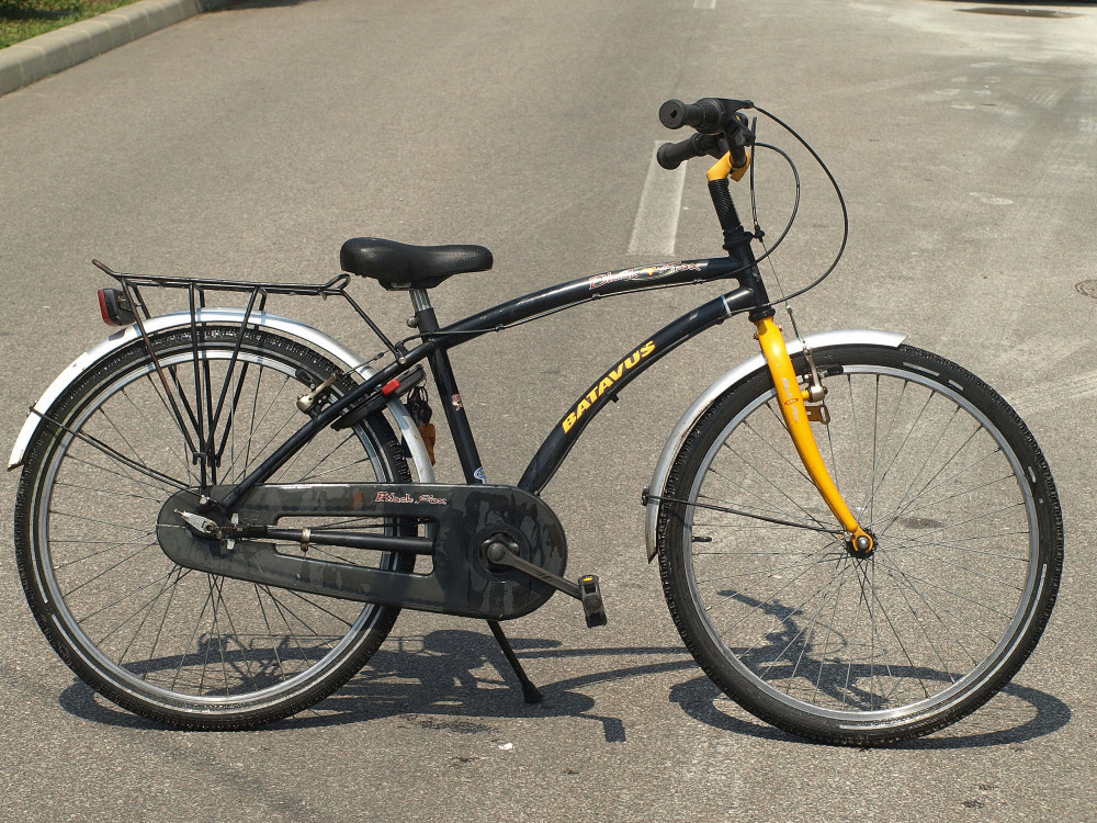 Bicicleta pentru copii - Batavus Black Fox - roti de 24, 15, 6 | Okazii.ro