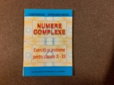 ECATERINA IORGULESCU NUMERE COMPLEXE EXERCITII SI PROBLEME CLASELE IX-XII