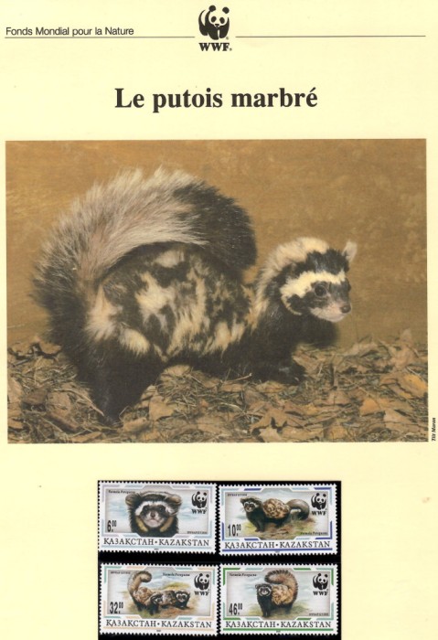 Kazahstan 1997 - Măricul Marmorat, Set WWF, 6 poze, MNH, (vezi descrierea)