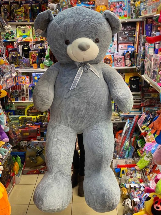 Urs de plus gigant gri 1,7m