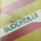 Agenda sudorului - 1984 - Vasile Berinde (W222)