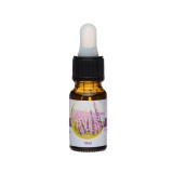 Ulei parfumat cu aroma de Lavanda, 10 ml, odorizant de camera, ATU-088431, Oem
