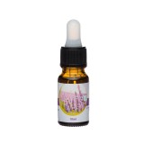 Ulei parfumat cu aroma de Lavanda, 10 ml, odorizant de camera, ATU-088431