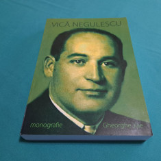 VICĂ NEGULESCU *MONOGRAFIE / GHEORGHE JIJIE / 2009