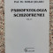 Psihopatologia Schizofreniei Vol.4 - Mihai Selaru ,553765