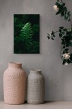 Tablou Canvas, "Frunză de ferigă &icirc;n umbră verde", Frunză, Verde, Natură, Fern, Umbre, Vegetație, &Icirc;ntuneric, 26 x 39 cm, CMCLASS