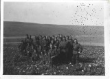 M1857N Soldați rom&acirc;ni la instrucție pe Frontul de Est, 1942, Al Doilea Război Mondial