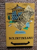 ION ROMAN - DIMITRIE BOLINTINEANU