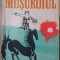 MUSUROIUL-MARIUS ROBESCU-234809
