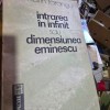 Intrarea in infinit sau dimensiunea Eminescu - Marin Tarangul