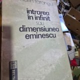 Intrarea in infinit sau dimensiunea Eminescu - Marin Tarangul