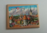 D4 - Magnet frigider - tematica turism - Estonia 1