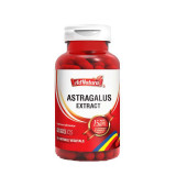 Astragalus Extract 30 capsule Adnatura