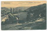 3530 - BOCSA MONTANA, Caras-Severin, Panorama, Romania - old postcard - unused - 1917