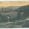 3530 - BOCSA MONTANA, Caras-Severin, Panorama, Romania - old postcard - unused - 1917