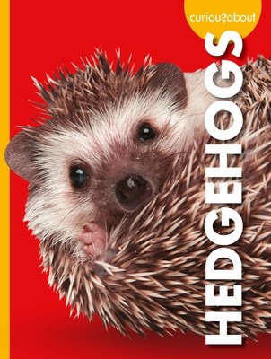 Curious about Hedgehogs foto
