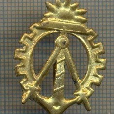 Y 1522 INSIGNA- MILITARA -SEMN DE ARMA -INGINER GENIU -PENTRU COLECTIONARI