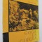 Goga la Ciucea - Ion Miclea