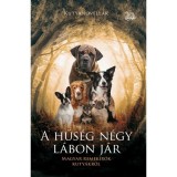 A hűs&eacute;g n&eacute;gy l&aacute;bon j&aacute;r. - K&ouml;ves J&oacute;zsef