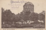 BRAILA ,GRADINA PUBLICA,CIRCULAT 1917 ,ROMANIA., Circulata, Fotografie