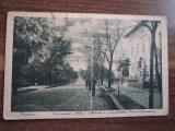 Craiova - Institutul Scrisul Romanesc.