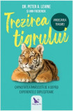 Trezirea tigrului - Paperback brosat - Ann Frederick, Peter A. Levine - For You