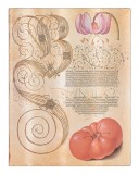 Carnet - Ultra, Unlined - Mira Botanica - Lily and Tomato | Paperblanks