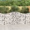 vidaXL Coșuri gabion arcuite 40 buc, 200x30x100/120 cm fier galvanizat 3145448