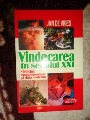 Vindecarea in secolul XXI / medicina complementara si viata moderna Jan de Vries