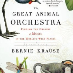 The Great Animal Orchestra: Finding the Origins of Music in the World's Wild Places