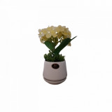 Cumpara ieftin Hortensie galbena artificiala decorativa in ghiveci ceramic, 23 cm, Oem