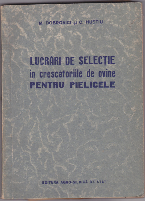 Lucrari de selectie in crescatoriile de ovine pentru pielicele