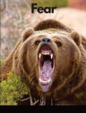 Fear: False Evidence Appearing Real